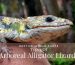 Arboreal-Alligator-Lizards.jpg